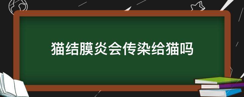 猫结膜炎会传染给猫吗（猫咪结膜炎会传染么）