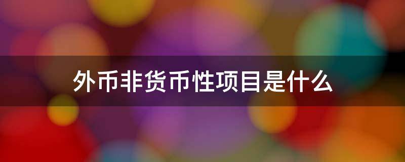 外币非货币性项目是什么（外币性项目 非外币性项目）