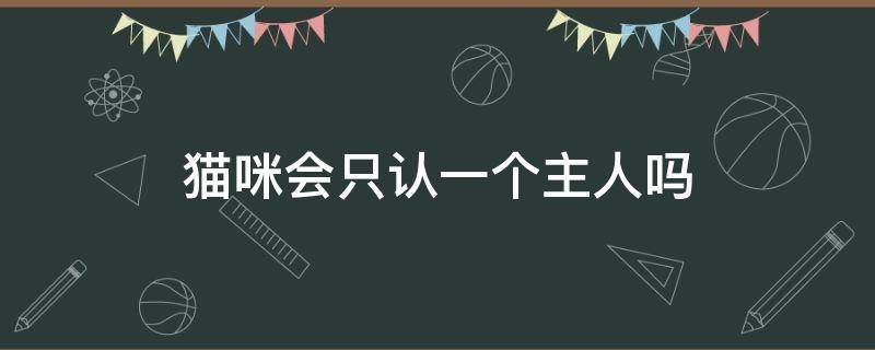 猫咪会只认一个主人吗（猫会随便认主人吗）