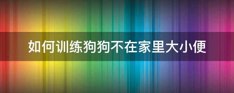 如何训练狗狗不在家里大小便（怎么训练狗狗不在家随地大小便）