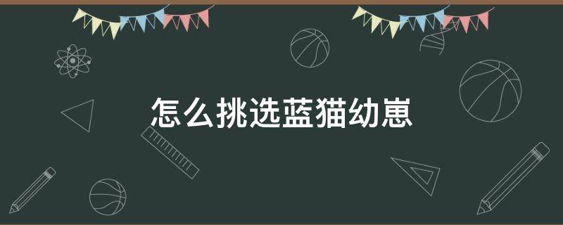 怎么挑选蓝猫幼崽 怎么挑选蓝猫幼崽活泼的还是不活泼的