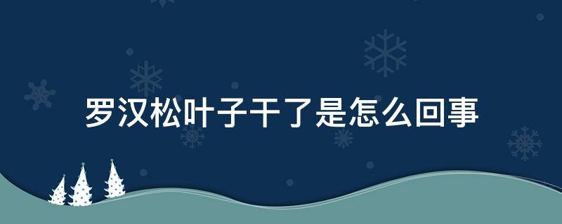 罗汉松叶子干了是怎么回事 罗汉松突然叶子变干怎回事