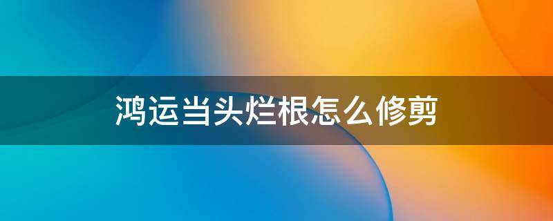 鸿运当头烂根怎么修剪（鸿运当头怎么会烂根）