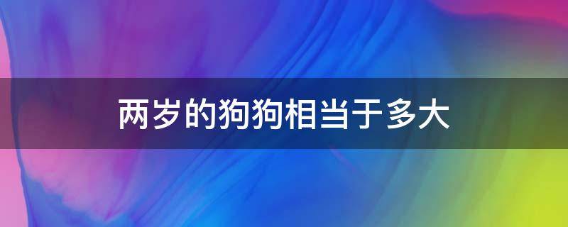 两岁的狗狗相当于多大（狗狗两岁相当于几岁）