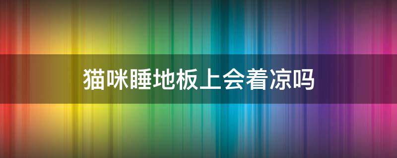 猫咪睡地板上会着凉吗（猫咪老是睡地上会不会着凉）