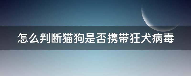 怎么判断猫狗是否携带狂犬病毒 怎样确定猫狗是否携带狂犬病