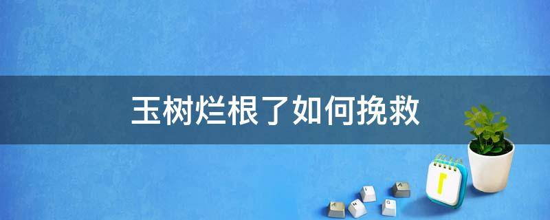 玉树烂根了如何挽救 玉树烂根了怎么办该如何挽救