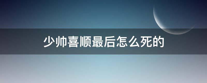 少帅喜顺最后怎么死的（少帅喜顺结局）