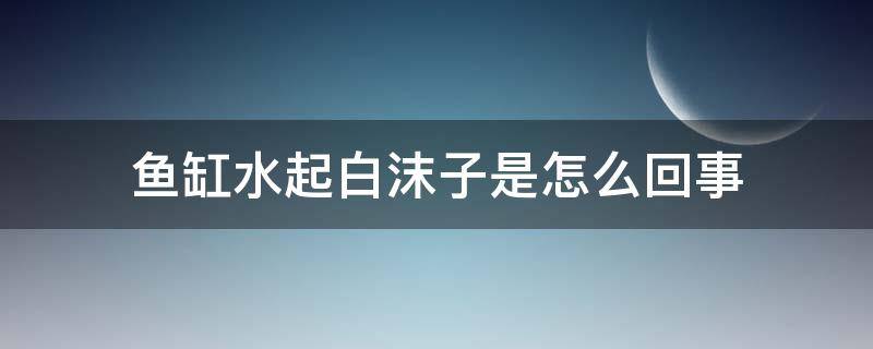 鱼缸水起白沫子是怎么回事（鱼缸水面有白沫子）