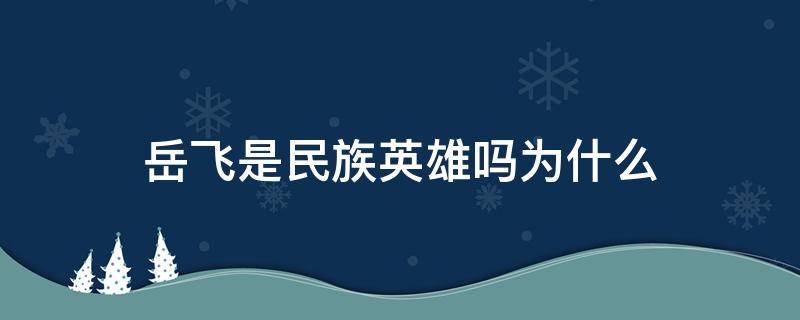 岳飞是民族英雄吗为什么（岳飞可以说是民族英雄吗）