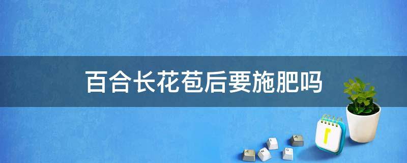 百合长花苞后要施肥吗 百合花开花苞时要施肥吗