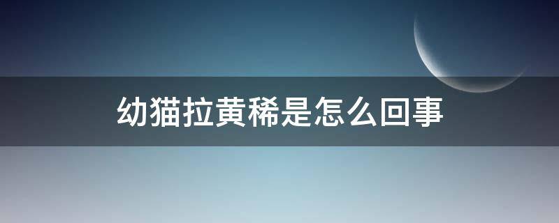 幼猫拉黄稀是怎么回事 幼猫拉黄稀怎么办