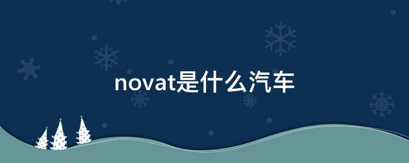 novat是什么汽车（novat是什么汽车价格）