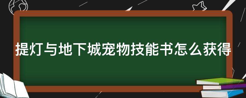 提灯与地下城宠物技能书怎么获得 提灯与地下城宠物技能书怎么打