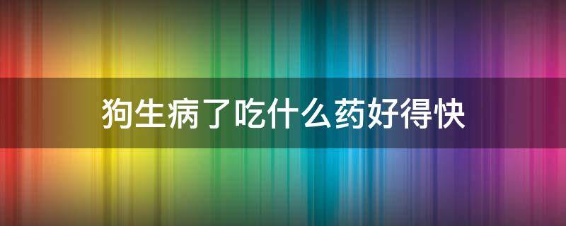 狗生病了吃什么药好得快 狗生病了吃什么药好得快问狗医生