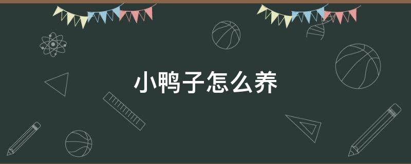 小鸭子怎么养（小鸭子怎么养,给他吃点什么）