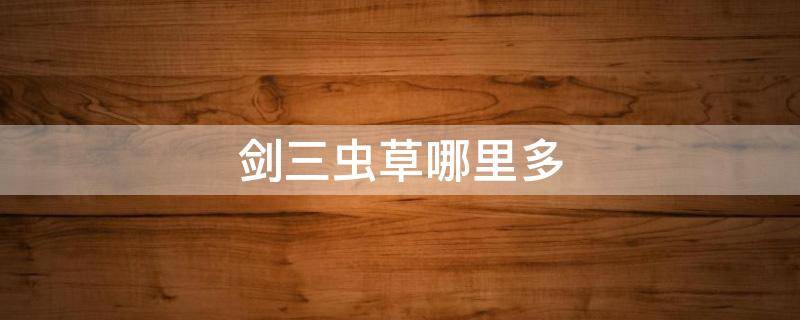 剑三虫草哪里多（剑三虫草重制版哪里多）