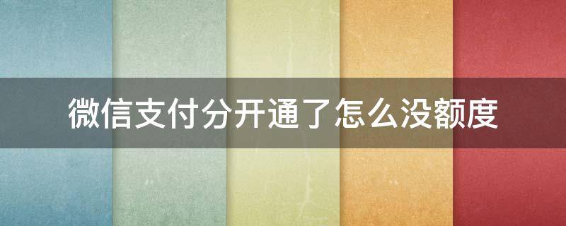 微信支付分开通了怎么没额度 微信有支付分为什么没有额度