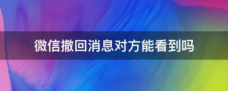 微信撤回消息对方能看到吗 微信撤回的消息对方能不能看到
