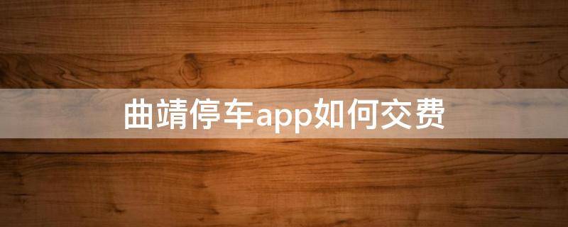 曲靖停车app如何交费 曲靖停车缴费用哪个app