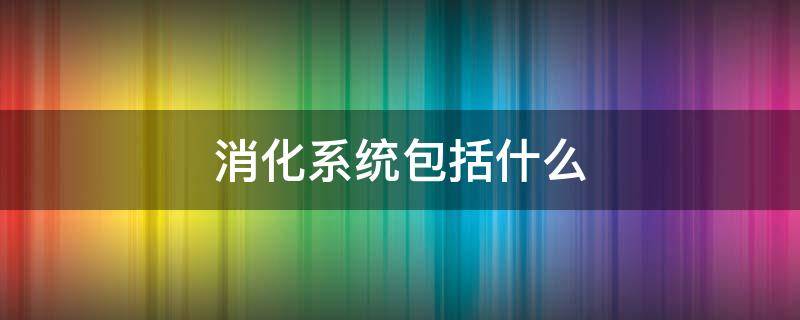 消化系统包括什么（蛔虫的消化系统包括什么）