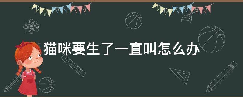 猫咪要生了一直叫怎么办 猫咪要生了一直叫怎么回事