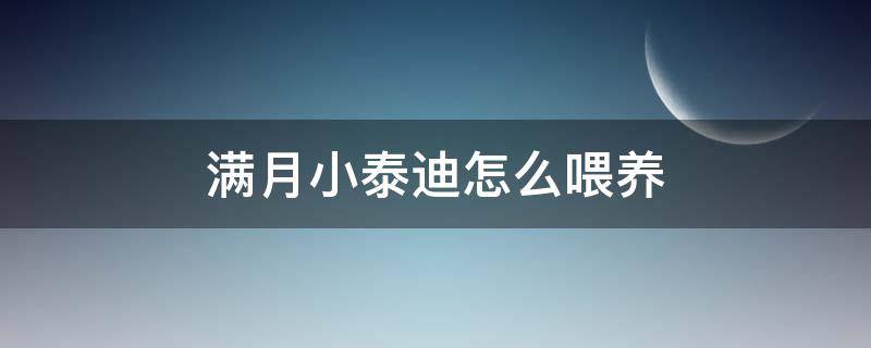 满月小泰迪怎么喂养（满月的小泰迪怎么喂养）