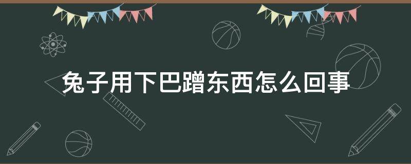 兔子用下巴蹭东西怎么回事（兔子用下巴去蹭东西是怎么了）