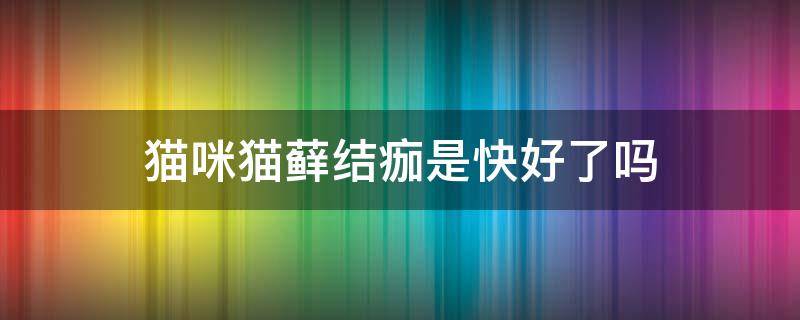 猫咪猫藓结痂是快好了吗 猫藓结痂是不是好了