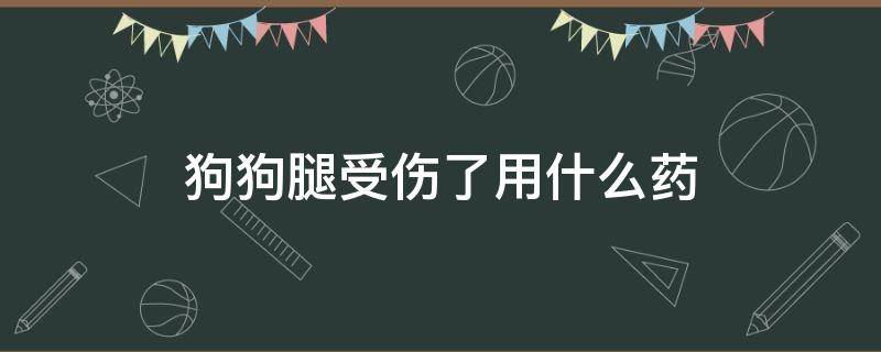 狗狗腿受伤了用什么药（狗的腿受伤了用什么药）