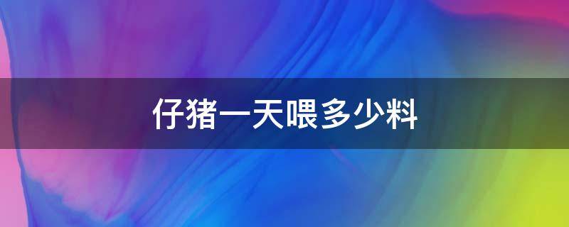仔猪一天喂多少料 仔猪每天喂多少料
