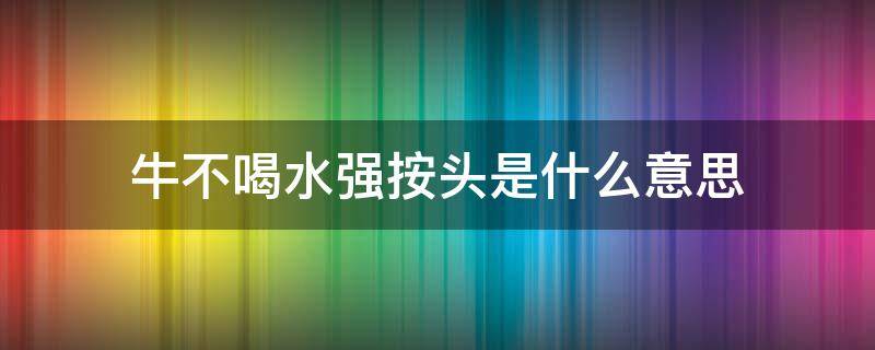 牛不喝水强按头是什么意思 牛不吃水强按头是谁说的