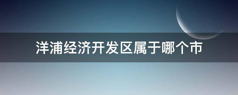 洋浦经济开发区属于哪个市 洋浦开发区属于哪个区