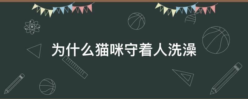 为什么猫咪守着人洗澡 洗澡的时候猫在外面守着是因为什么