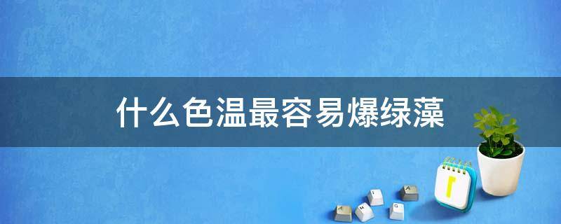 什么色温最容易爆绿藻 爆绿藻对色温