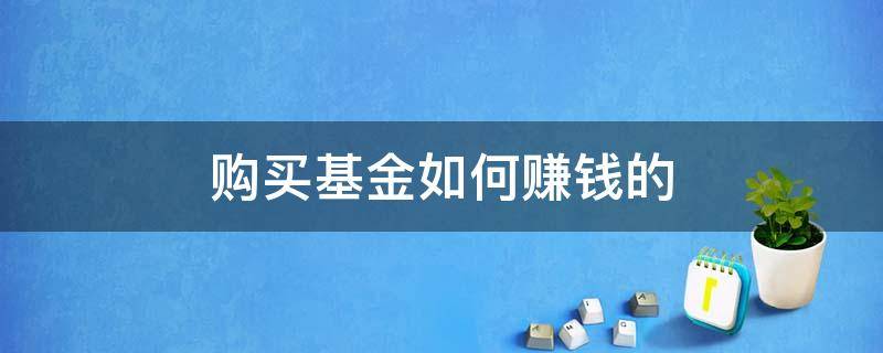 购买基金如何赚钱的（如何购买基金才能赚钱）