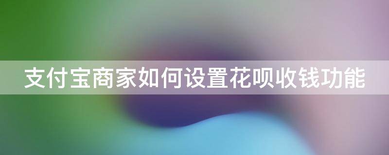 支付宝商家如何设置花呗收钱功能（支付宝商家如何设置花呗收钱功能限制）