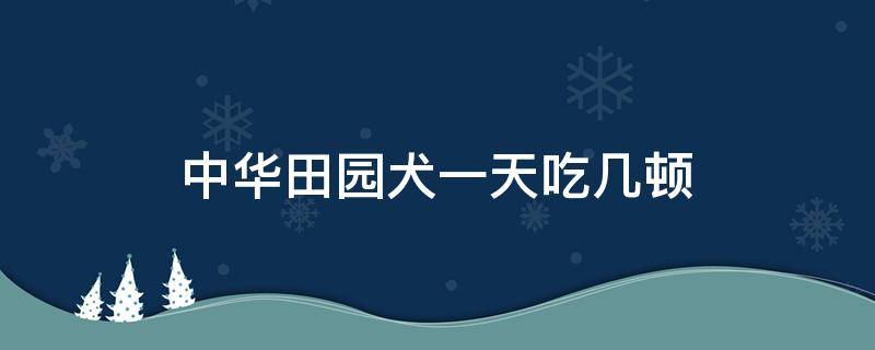 中华田园犬一天吃几顿（中华田园犬一天喂几餐）