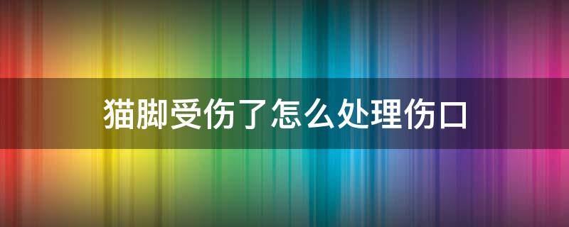 猫脚受伤了怎么处理伤口 猫脚有伤口怎么处理