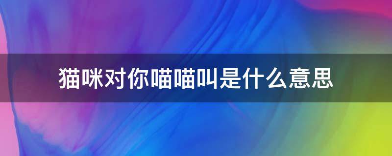 猫咪对你喵喵叫是什么意思（喵咪对你喵喵叫）