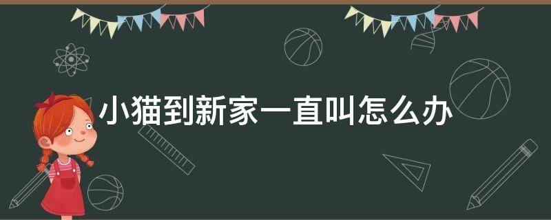 小猫到新家一直叫怎么办（两个月小猫到新家一直叫怎么办）