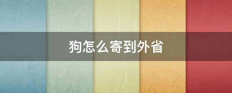 狗怎么寄到外省 狗狗怎么寄到外省