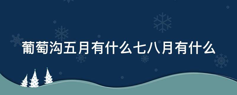 葡萄沟五月有什么七八月有什么（葡萄沟盛产水果五月有什么七八月有什么）