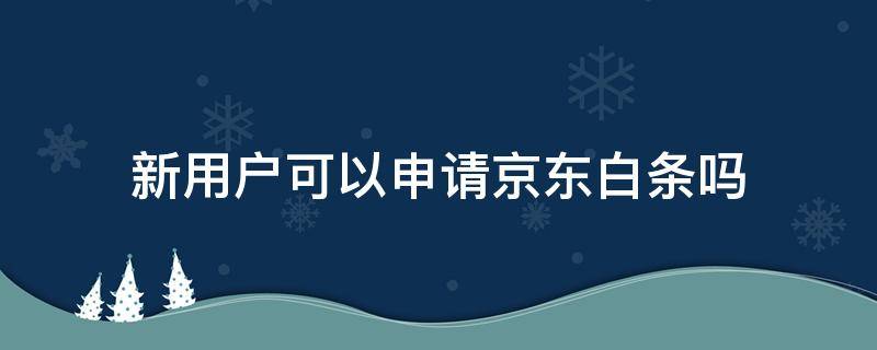 新用户可以申请京东白条吗（京东新账号可以申请白条吗）