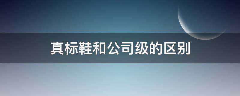 真标鞋和公司级的区别 鞋子公司级和真标的区别