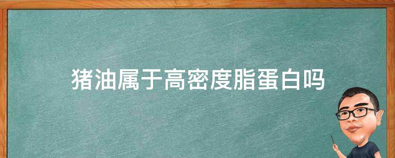 猪油属于高密度脂蛋白吗 什么油不属于高密度脂蛋白