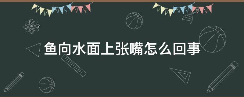 鱼向水面上张嘴怎么回事（鱼为什么伸出水面来张嘴）