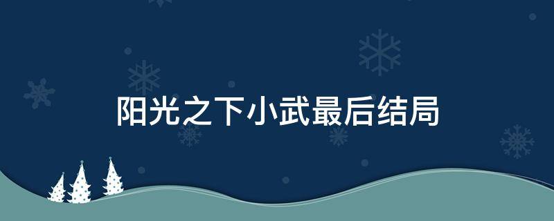 阳光之下小武最后结局（阳光之下小武最后的结局）