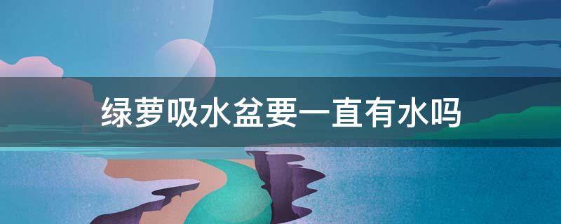 绿萝吸水盆要一直有水吗 绿萝下面有吸水盆,应该浇点水水