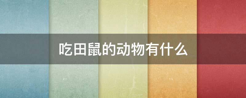 吃田鼠的动物有什么 田鼠的食物